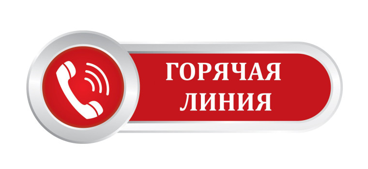 «Горячая линия» по приему детей, прибывших из Белгородской, Брянской и Курской областей.